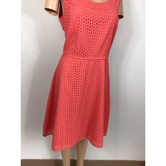 Max Studio Coral Eyelet Dress - Picture 6 of 6